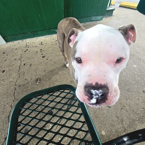 Fundraising Page: Christina Czaja